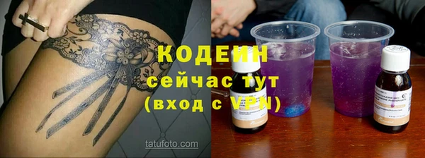гашик Аркадак