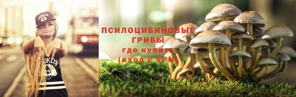 не бодяженный Арсеньев