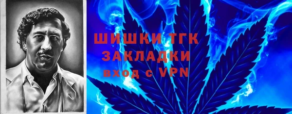 гашик Аркадак